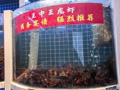 -指爱龙虾(金杨路总店)