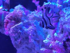 -海合安武汉极地海洋公园