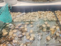 -海天盛宴新派海鲜自助餐厅(群力店)
