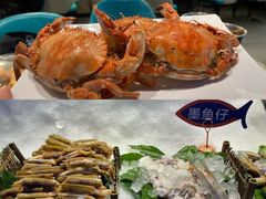 -乔哥铭洋海鲜自助(皇城恒隆广场店)