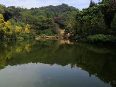 -云溪植物园