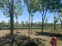 -天津东丽湖风景区