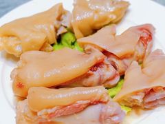-丁老爷子苏香圆
