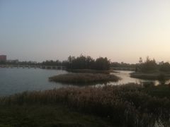 -五里桥文化公园-西侧停车场