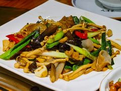 -九道菜有鸡鱼头(石鼓路店)