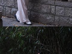 -青岛崂山太清宫