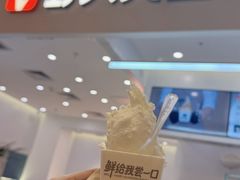 -野人先生现做冰淇淋(北京环宇荟店)