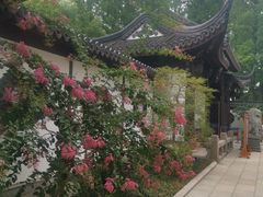 -上海醉白池公园