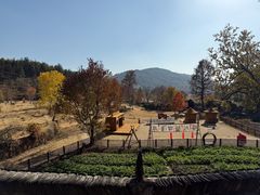 -塔川景区