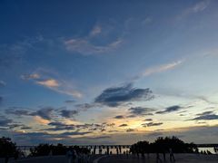 -宝安西湾红树林湿地公园