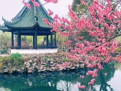 -无锡蠡湖国家湿地公园-蠡园