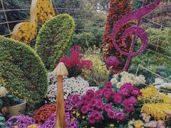 -杭州植物园