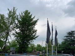 -奔驰上海利星(七宝店)
