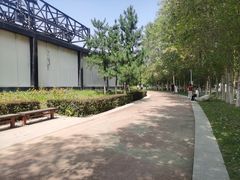 -莫子山公园