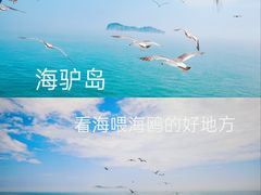 -海驴岛(荣成市)