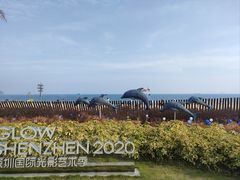 -大梅沙海滨公园