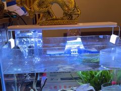 -华夏良子·足道SPA艾灸(铁道大厦店)