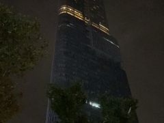-紫峰大厦