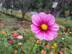 -共青国家森林公园-南大门停车场