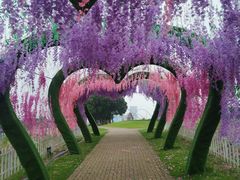 -雪浪山卡丁车俱乐部