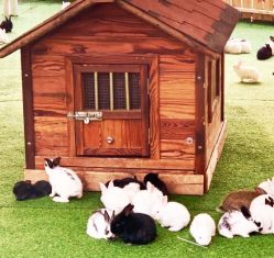 -萌宠亲子动物乐园(槐房万达店)