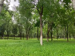 -东升八家郊野公园