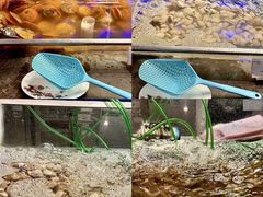 -深圳温德姆至尊酒店