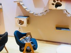 -Pets First伊珊娜洗护·精致美容·家庭式寄养(新会路店)