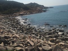 -广东惠东海龟国家级自然保护区