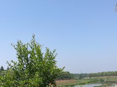 -洨河生态公园