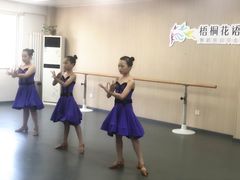 -梧桐花语舞蹈培训中心(潞城校区)
