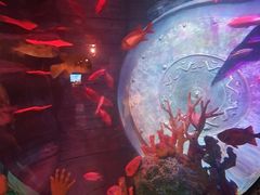 -沈阳海洋探索中心