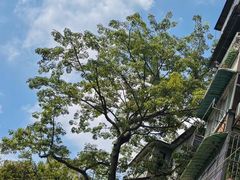 -汇兴源餐馆(小北路店)