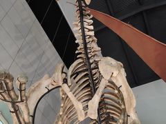 -湖南省地质博物馆