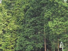 -樱桃山旅游景区