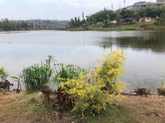 -枫香湖儿童公园