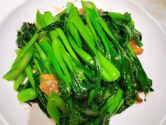 生炒菜心-客语客家菜(KKONE店)