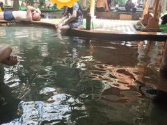 -陆地游轮吉林神农温泉