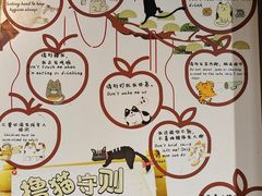 -豆逗聊愈猫阁Easy Life
