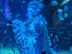 -沈阳海洋探索中心