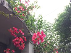 景观位-竹园竹升面(西关总店)