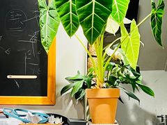 -如果·追梦手工皮具DIY教学店(田子坊店)