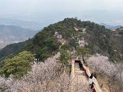 -天津盘山风景名胜区