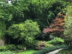 -十八棵（老龙井）御茶园(老龙井店)