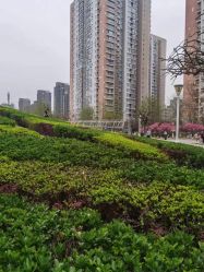 点击看大图 -自然美Natural Beauty