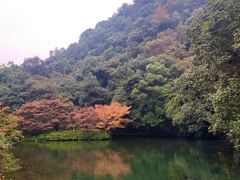 -杭州花家山庄