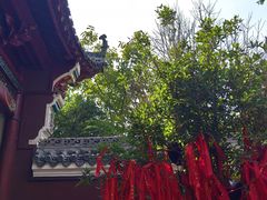 -长春观