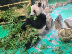 -上海动物园(地铁站)