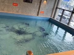 -深圳大学城（南区）体育中心-游泳馆