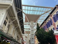 -新加坡佛牙寺龙华院